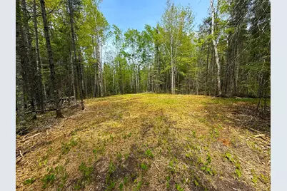 72Xx E Central Lakes Road Lot G, Eveleth, MN 55734 - Photo 8