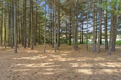 37298 Heritage Way, North Branch, MN 55056 - Photo 8