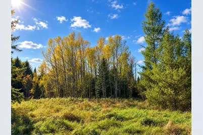 Tbd Hinkkanen Road, Floodwood, MN 55736 - Photo 20