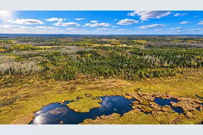 Tbd Hinkkanen Road, Floodwood, MN 55736 - Photo 8