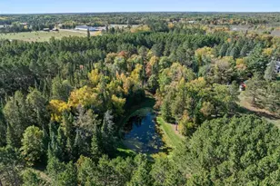 33618 Old 371, Pequot Lakes, MN 56472 - Photo 74