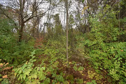 Lots 1-8 N Center Street, Danbury, WI 54830 - Photo 8
