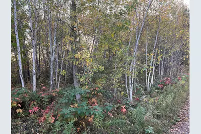0000 Holly Rd, Pine City, MN 55063 - Photo 18