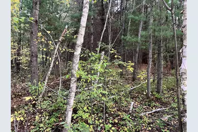 0000 Holly Rd, Pine City, MN 55063 - Photo 10