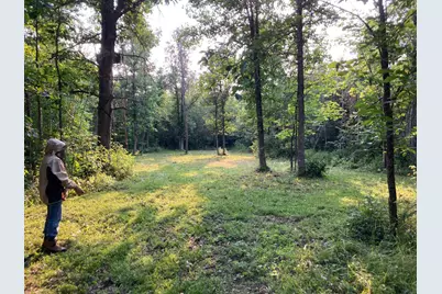 10498 County Road 30, Big Falls, MN 56627 - Photo 34