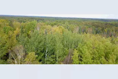 Tbd Industrial Avenue, Littlefork, MN 56668 - Photo 8