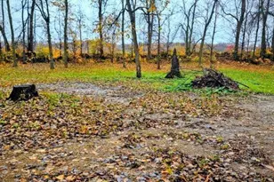 4760 Country Shores, Alexandria, MN 56308 - Photo 2