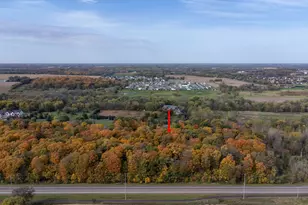9284 Ehler Ave SE, Delano, MN 55328 - Photo 56