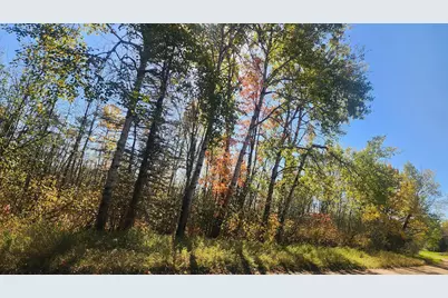 Tbd County Road 55 Road NE, Remer, MN 56672 - Photo 4