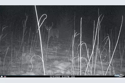 Xxx 230th, Minnesota Lake, MN 56068 - Photo 4