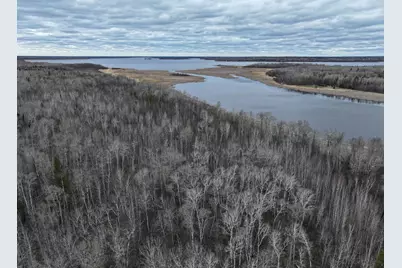 090 Youngs Bay Drive, Angle Inlet, MN 56711 - Photo 10