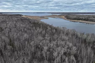 2521 Youngs Bay Dr NW, Angle Inlet, MN 56711 - Photo 10