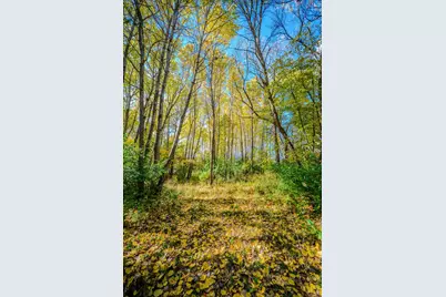 Tbd County Road 102, Grey Eagle, MN 56336 - Photo 4