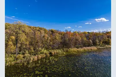 Tbd County Road 102, Grey Eagle, MN 56336 - Photo 10