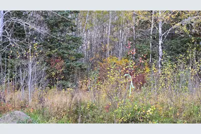 Tbd 28.9 Rangeline Road, Orr, MN 55771 - Photo 22