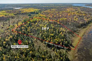 Tbd Little Anglers Trl NE Lot 9, Remer, MN 56672 - Photo 1