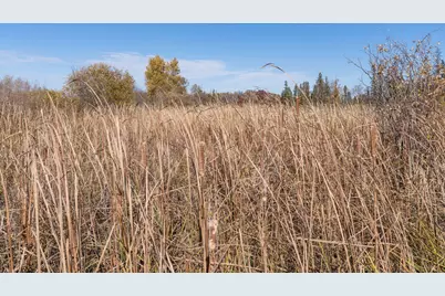13604 625th Avenue, Eagle Bend, MN 56446 - Photo 20