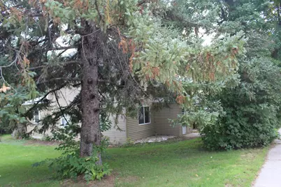 609 Wollan Street, Starbuck, MN 56381 - Photo 4