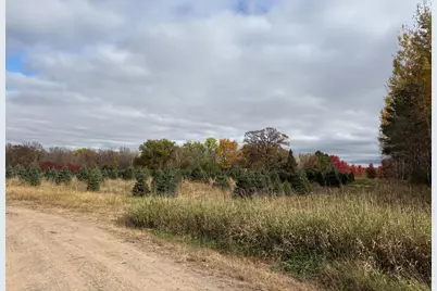 Tbd 377th Avenue NW, Dalbo, MN 55017 - Photo 28