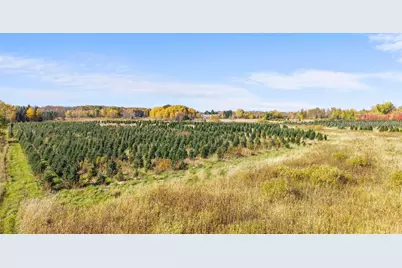 Tbd 377th Avenue NW, Dalbo, MN 55017 - Photo 10