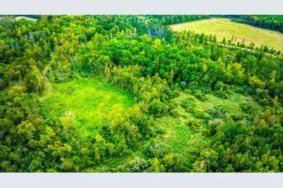 12479 Battle Road NE, Blackduck, MN 56630 - Photo 8