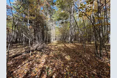 Xxxx County Road 19, Merrifield, MN 56465 - Photo 18