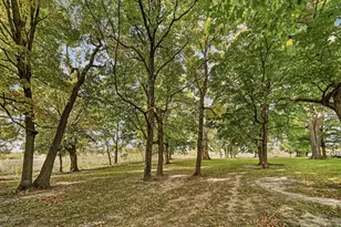 58733 County Road 6, Zumbro Falls, MN 55991 - Photo 38
