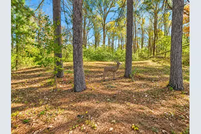 4119 Crow Wing Circle SW, Pillager, MN 56473 - Photo 28
