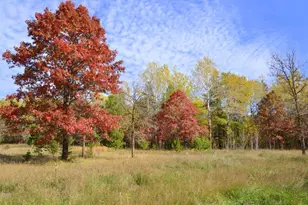 Xxx Grant St, Park Rapids, MN 56470 - Photo 1