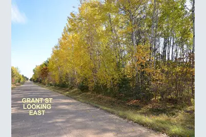 Xxx Grant Street, Park Rapids, MN 56470 - Photo 20