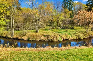 435 Main St, Boyceville, WI 54725 - Photo 4