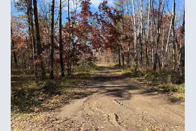 Tbd Armour Pass SW, Pillager, MN 56473 - Photo 4