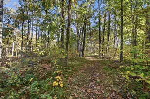 33977 Pine View Ln, Crosslake, MN 56442 - Photo 22