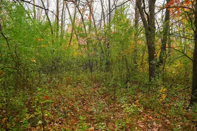 44543 Birch Lake Road, Melrose, MN 56352 - Photo 72