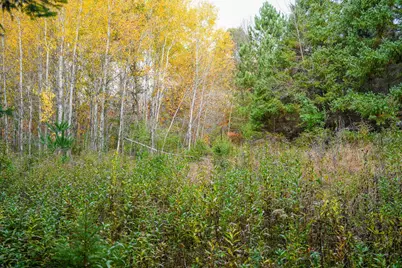 44543 Birch Lake Road, Melrose, MN 56352 - Photo 78