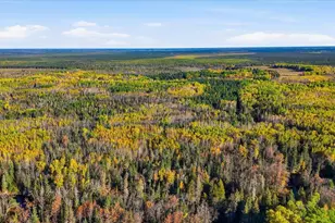 9816 County Rd 30, Big Falls, MN 56627 - Photo 40