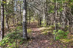 9816 County Rd 30, Big Falls, MN 56627 - Photo 26