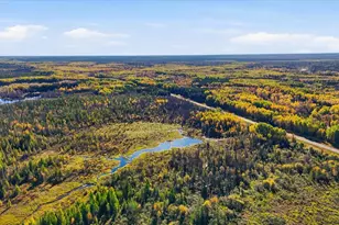 9816 County Rd 30, Big Falls, MN 56627 - Photo 38