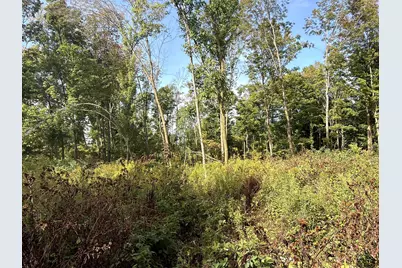 0 3 1/2 Avenue, Dallas, WI 54728 - Photo 2