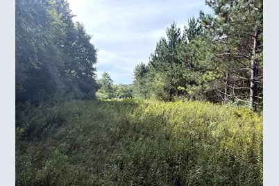 0 3 1/2 Avenue, Dallas, WI 54728 - Photo 10
