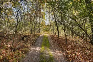 317 Sherwood Forest, River Falls, WI 54022 - Photo 48