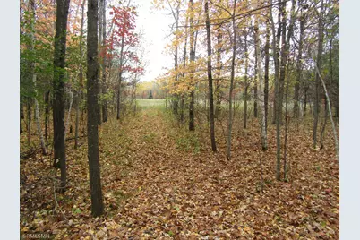 Xxxxx Holly Road, Pine City, MN 55063 - Photo 2