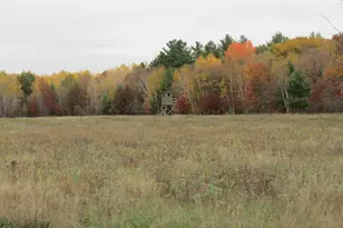 Xxxxx Holly Rd, Pine City, MN 55063 - Photo 1