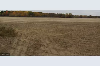 Xxxxx Holly Road, Pine City, MN 55063 - Photo 12