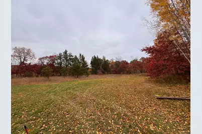 Tbd Alice Drive, Menahga, MN 56464 - Photo 6