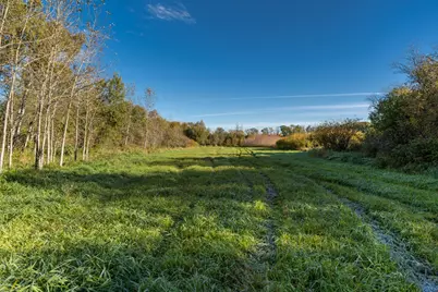 Tbd 231st Avenue, Browerville, MN 56438 - Photo 8