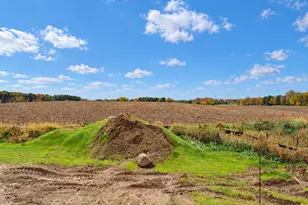 955 Greenlawn Ave W, Delano, MN 55328 - Photo 22