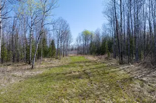 Tbd Swedlund Rd, Herbster, WI 54844 - Photo 1