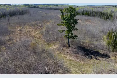 Tbd Swedlund Road, Herbster, WI 54844 - Photo 2