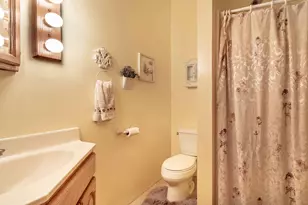 46251 Birch Grove Dr, Pelican Rapids, MN 56572 - Photo 46